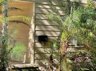 Landscaping by Jamual McQueen for Frank S. in Tampa, FL