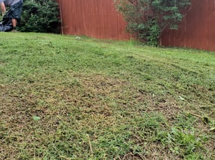 Bush Trimming by Steven Solis for Jason P. in Leander, TX
