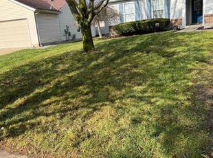 Leaf Removal by Victor Edwards for Gary L. in Cincinnati, OH