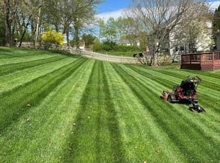 Tim S.'s Lawn Mowing service result