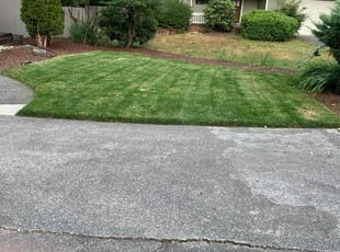 Sandy C.'s Grass Cutting service result