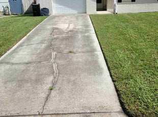 Eleanor C.'s Yard Cutting service result