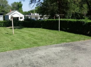 Bush Trimming by Keyon Spencer for Levora B W. in Kansas City, MO
