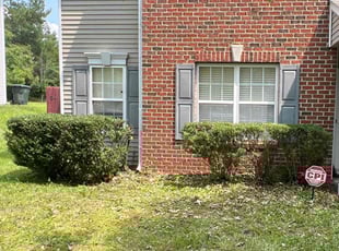 Bush Trimming by Matthew Lynough for Millie T. in Raleigh, NC