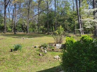 Leaf Removal by Douglas McClelland for Caleb D. in Birmingham, AL
