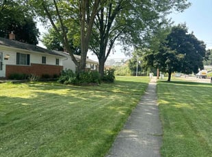 Nikeshia L.'s Grass Cutting service result