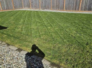 Anthony E.'s Lawn Maintenance service result