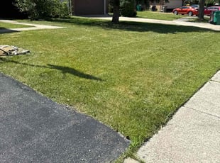 Milton R.'s Grass Cutting service result