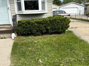 Bush Trimming by Ricky Madeja Jr for Amanda C. in Kenosha, WI