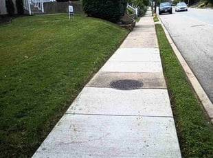 Bush Trimming by Caleb Patton for Pat M. in Cincinnati, OH