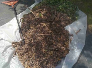 Cleanups by Elizabeth Williams for Marie W. in Warrensville Heights, OH