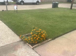 Rob W.'s Lawn Care service result