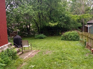 Bush Trimming by Christopher Johnson for Susannah P. in Kansas City, KS