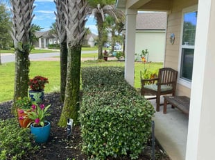 Bush Trimming by Yon Helton for Robert S. in St. Augustine, FL