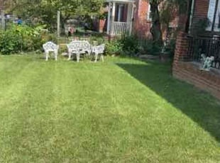 LaTosha G.'s Lawn Maintenance service result
