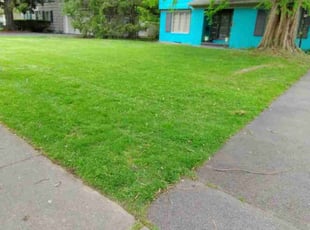 Jeff B.'s Lawn Maintenance service result
