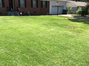 Katrina L.'s Lawn Mowing Service service result