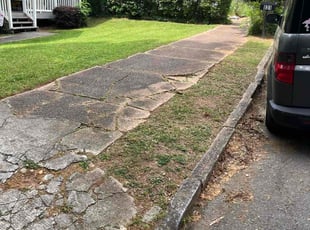 Bush Trimming by Nathaniel Stanley for Louis P. in Atlanta, GA