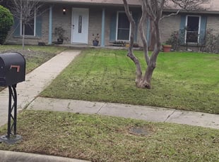 Cleanups by Marcus Carranza for Brian M. in Farmers Branch, TX