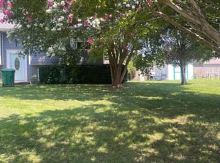 Bush Trimming by Arlen Dranoff for Davonte B. in Richmond, VA