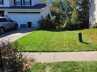 Robert W.'s Lawn Service service result