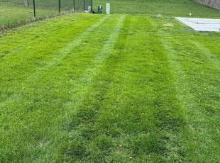 Jammel R.'s Lawn Care service result