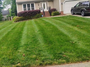 Robb L.'s Lawn Mowing service result