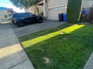 Bush Trimming by Forrest Rogers for Alex R. in Tacoma, WA