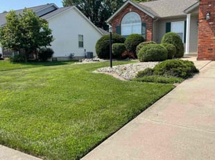 Kevin c.'s Lawn Maintenance service result