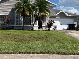 Lauren K.'s Grass Cutting service result