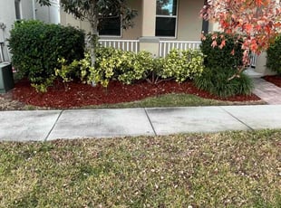 Mulching by Carmine DePrima for Summer N. in Windermere, FL
