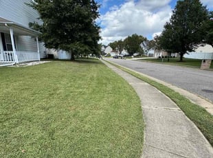 David M.'s Lawn Care service result