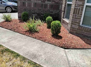 Bush Trimming by Jesus Fortanel for Richard R. in Spring, TX