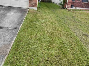 David M.'s Lawn Care service result