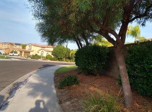 Cleanups by Luis Medina for Zachary B. in Murrieta, CA