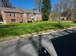 Mohammed S.'s Lawn Care service result