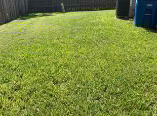 Damonae O.'s Lawn Care service result