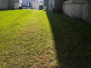 Robert J.'s Lawn Mowing service result