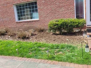 Weeding by Rose Valle for Joshua W. in Fairfax, VA