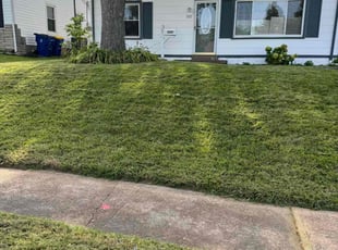 Shea P.'s Lawn Maintenance service result