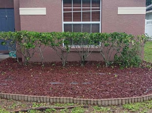 Mulching by Karol Frisancho for Maria B. in Orange City, FL