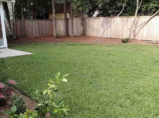 Thomas D.'s Lawn Mowing service result