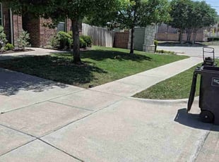 Phyllis C.'s Yard Cutting service result