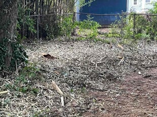 Cleanups by Brandon Escobar for Colette S. in Falls Church, VA