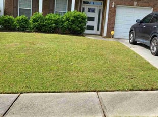 Teisha M.'s Lawn Care service result