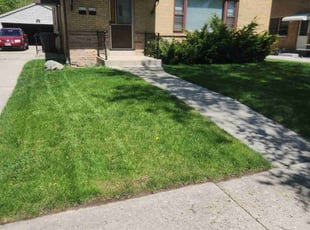 Karri D.'s Lawn Mowing service result