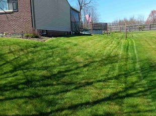 Lisa T.'s Lawn Care service result