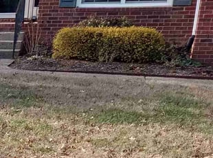 Bush Trimming by Robert Fitzgerald II for John H. in Nashville, TN