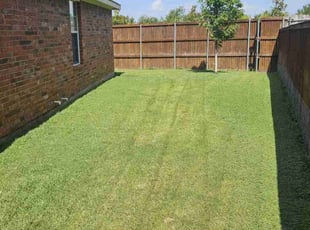 Cleanups by Ernest Howard for Kimberley P. in Frisco, TX