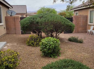 Bush Trimming by Leland Floyd for Cory c. in North Las Vegas, NV